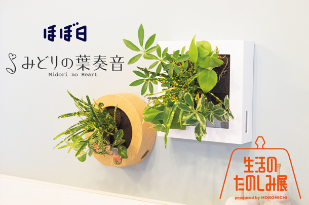 みどりの葉奏音×ほぼ日　『生活のたのしみ展2023』に〈土を使わない植物のお店〉出店　GWの4月29日(土)～5月5日(金・祝) 新宿住友ビル三角広場にて