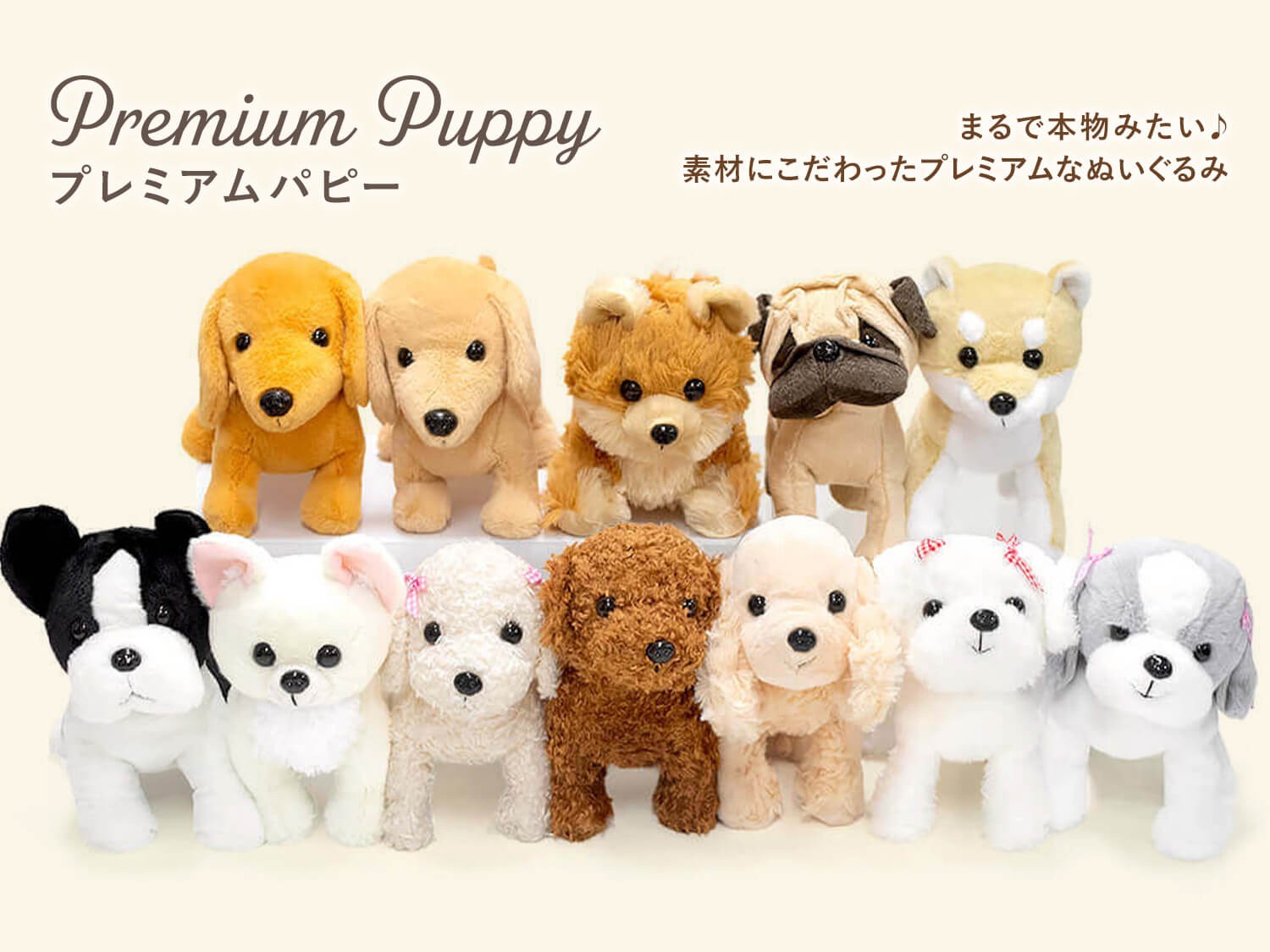 犬好きの心をつかむ新ギフト！リアルな仕上がりの「プレミアムパピー」全12種類のぬいぐるみ電報を新発売、祝電ギフト需要に対応