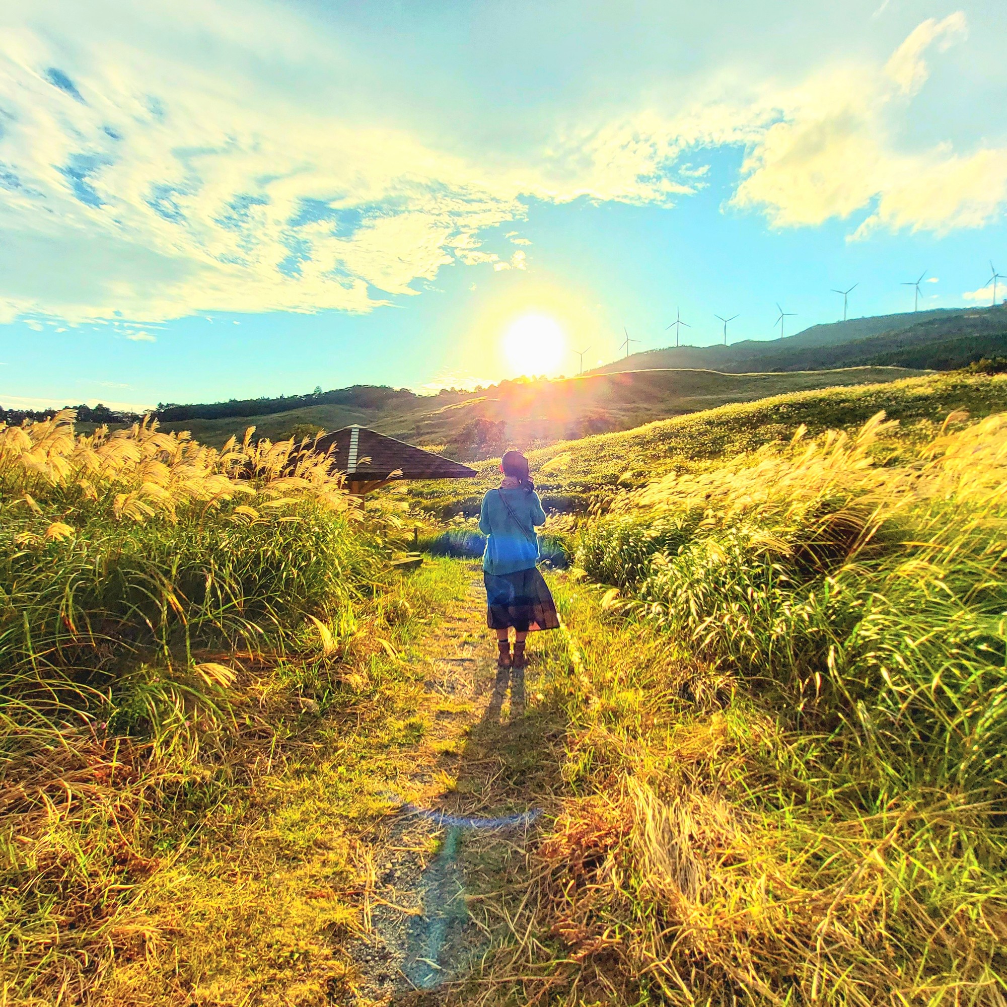 第15回『東伊豆まちの魅力 フォトコンテスト』開催中　【入賞で賞金や特産品が貰える！】