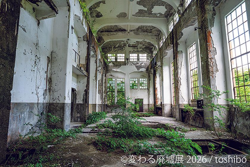 息をのむ美しさ！“廃墟”をアート作品として昇華　11周年を迎える「変わる廃墟展 2026」2/27(金)～東京で開催