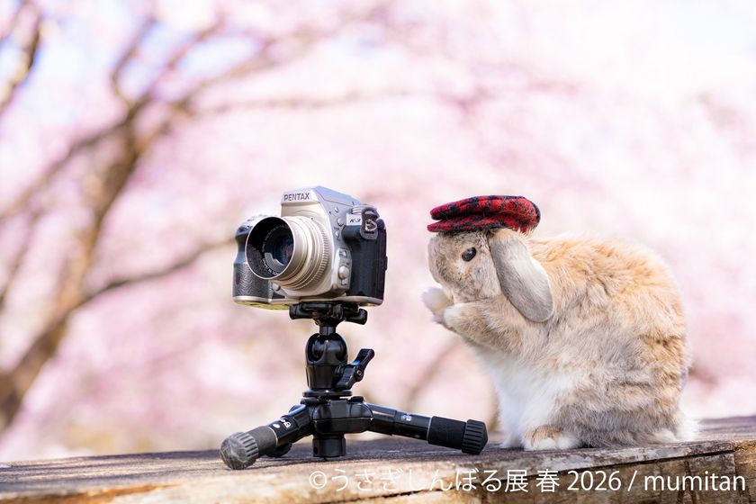 祝10周年「うさぎしんぼる展」が過去最大規模で名古屋開催決定！2月28日(土)～ 新作＆限定グッズの展開や3月3日“うさぎの日”限定イベントなど見どころ満載