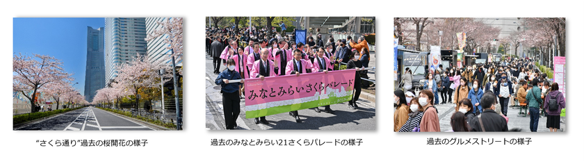 ～綱引き・パレード・グルメストリートなど、コンテンツ盛りだくさん～みなとみらい21 さくらフェスタ2026