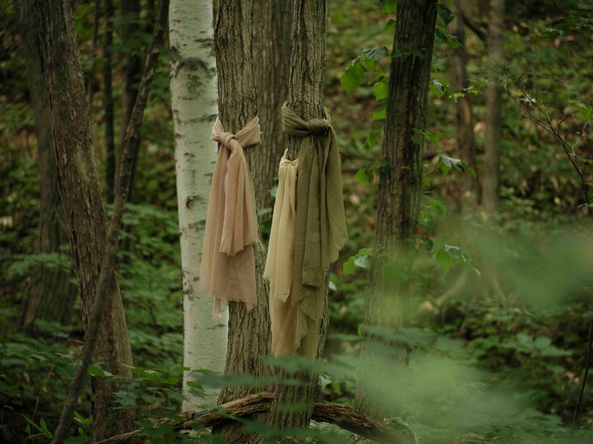 ニセコの森が、ショールになる。SHOKAY × DGBH　『森染めショール』母の日キャンペーンを5月5日まで開催