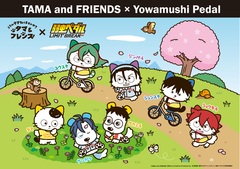仲間と走り、青春を駆け抜けるあの作品とコラボ！『タマ＆フレンズ』×『弱虫ペダル』―3月27日(金)からコラボグッズ発売開始！―
