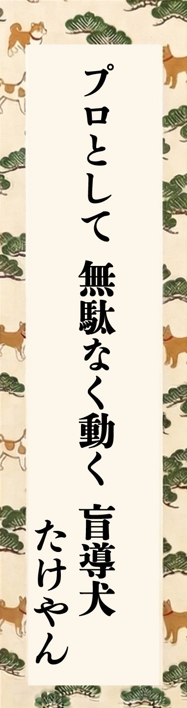 第八回「ロービジョン・ブラインド 川柳コンクール」優秀賞発表のお知らせ