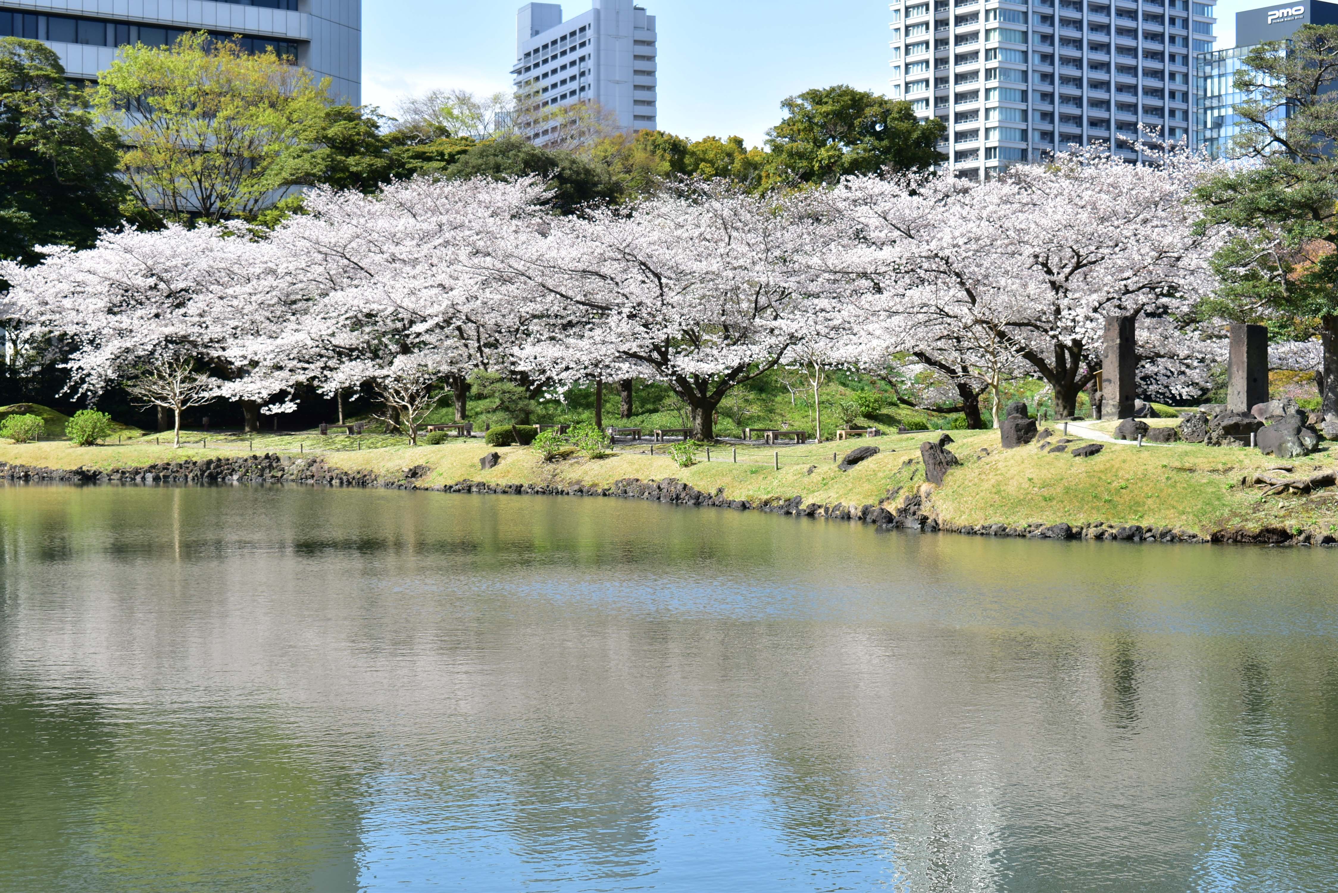 旧芝離宮恩賜庭園　春らんまん～オリジナル手ぬぐい「庭園之景」、4月1日（水）発売開始～