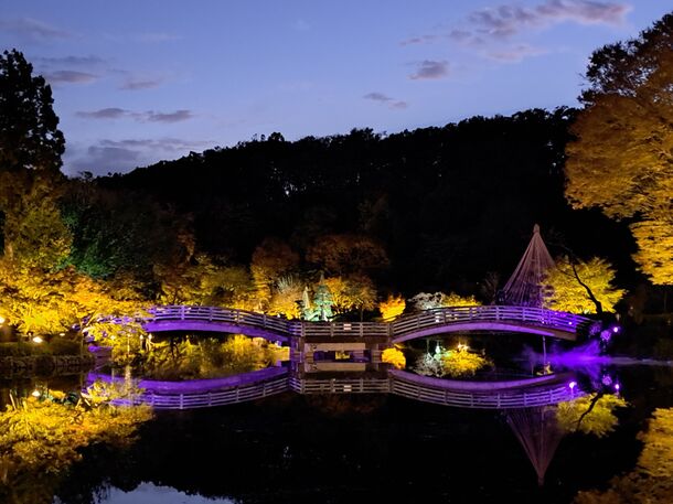 【東京・町田市】町田薬師池公園四季彩の杜にて「秋遊び2023」を10月28日(土)～11月30日(木)開催中！