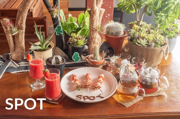 目指すは新しい形の公民館！多肉・観葉植物のお店SPOTが第1回「SPOT PARTY」を1月27(土)・28(日)に開催