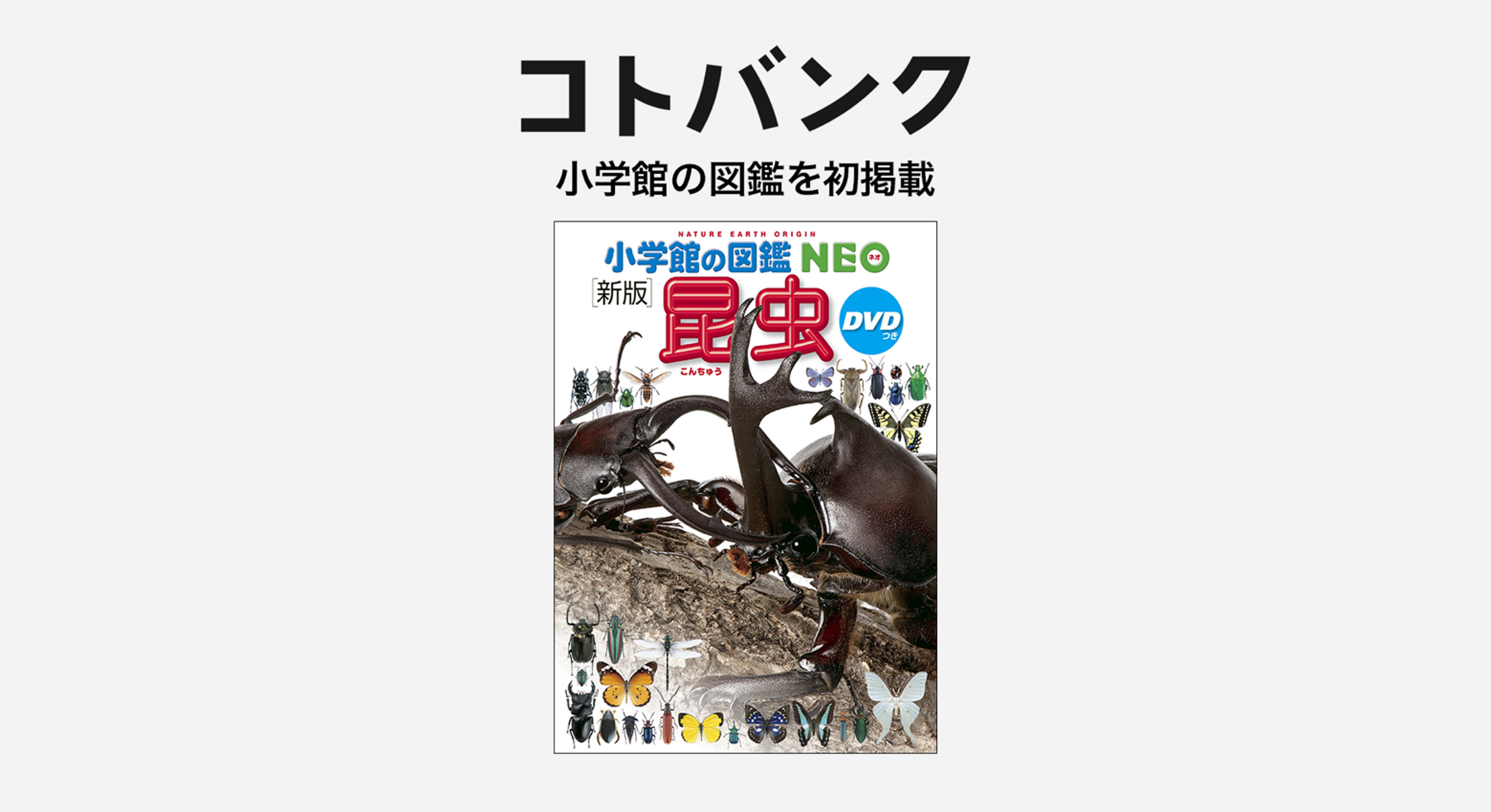 無料ウェブ百科事典「コトバンク」、「小学館の図鑑NEO[新版]昆虫」を追加