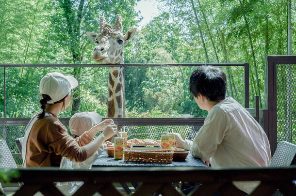 毎年恒例！動物園×グランピングのTHE BAMBOO FOREST　キリンと朝食がとれるオプション 24年度の営業を開始