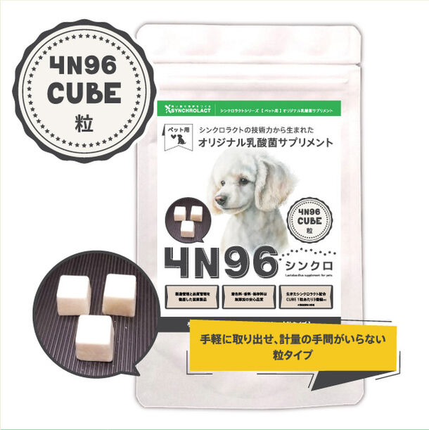 ペットに与えるときの手軽さを追求した乳酸菌サプリメント「4N96 CUBE」の販売プロジェクトをCAMPFIREにて実施