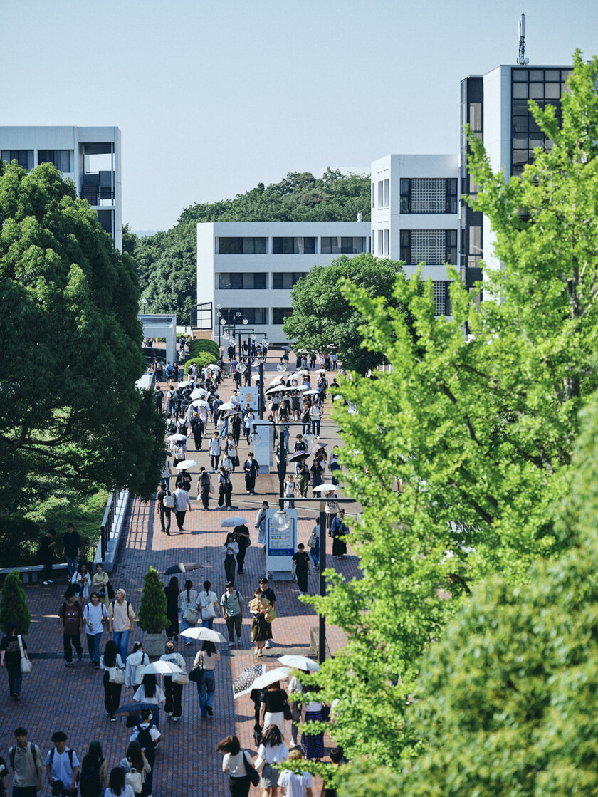 明治学院大学国際学部付属研究所、地域と大学の新たなつながりを探る　全5回の公開セミナーを10月末から11月にかけて無料で開催