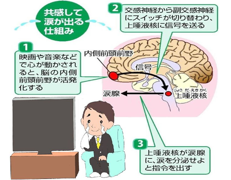 泣いて職員のチームビルディングとストレスマネジメント。健康経営のために「涙活（るいかつ）」を提唱する感涙療法士が1月30日に東京・港区で会社員に向けてセミナー実施