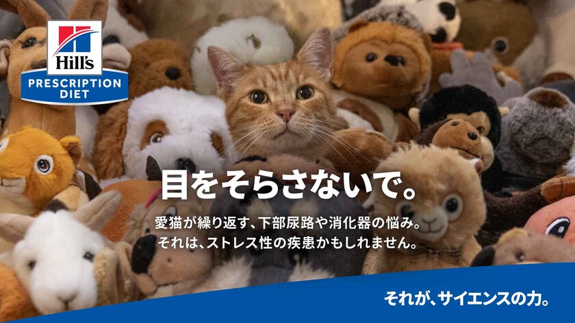 ヒルズ プリスクリプション・ダイエット 〈猫用〉 腸内バイオームがストレス性消化器不調のケアにも配慮した「コンフォート」シリーズへアップグレードし2月に発売