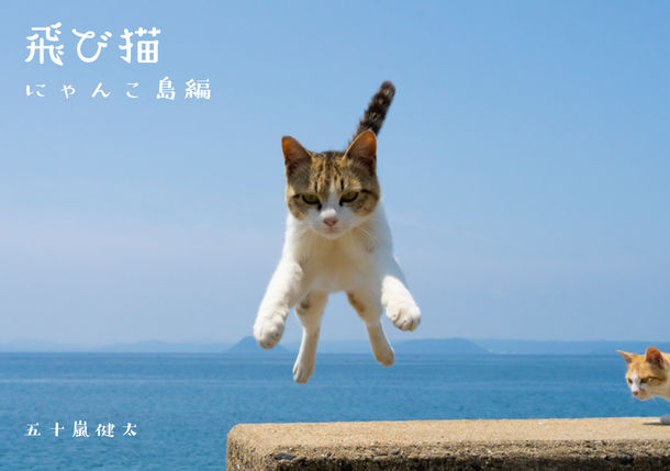 猫写真展「もふあつめ展」が大阪府の高槻阪急で9月29日(木)～10月5日(水)に開催！猫写真や猫作品約800点が大集合